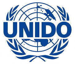 National Technical Expert at UNIDO.