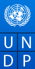 Procurement Assistant at UNDP.