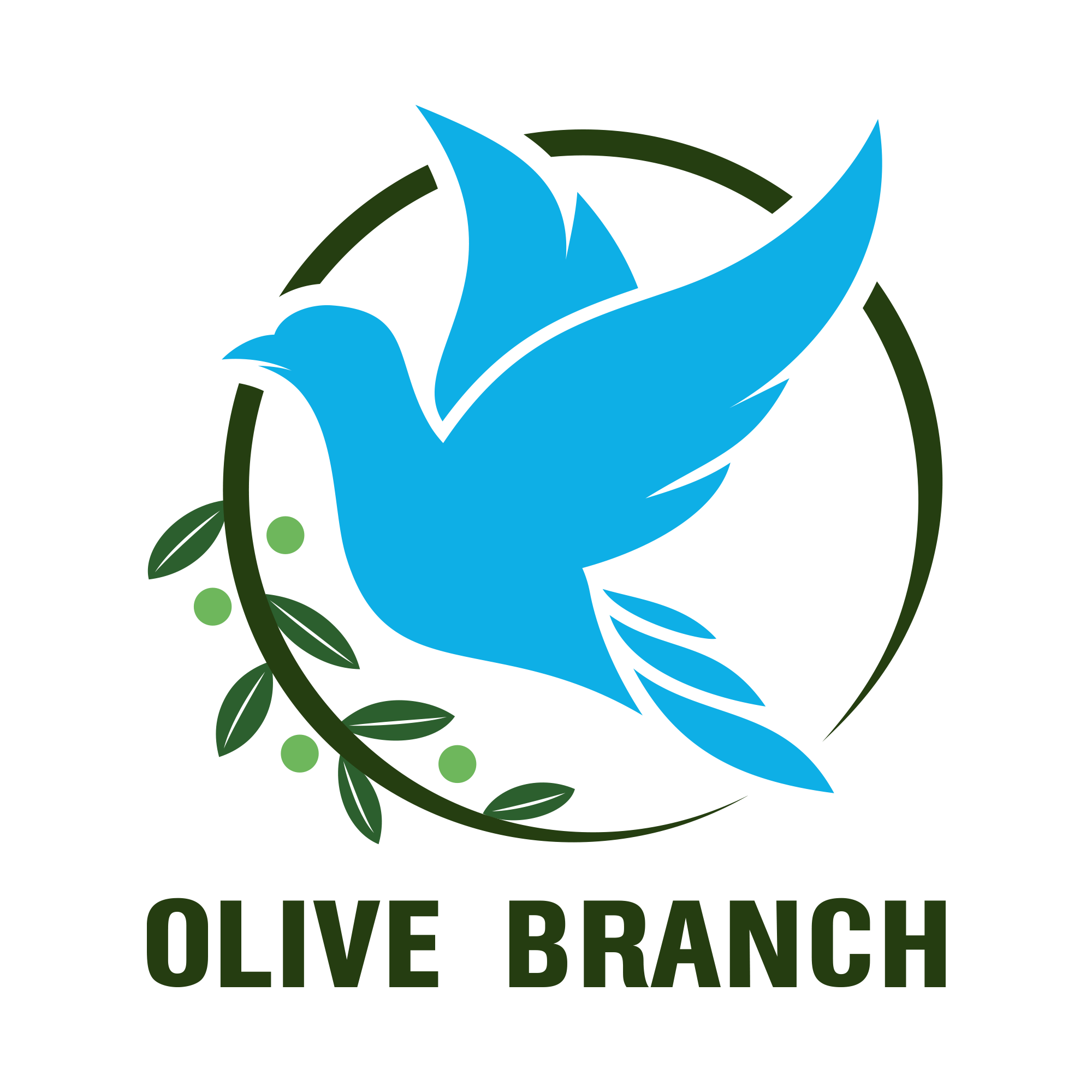 Liaison officer