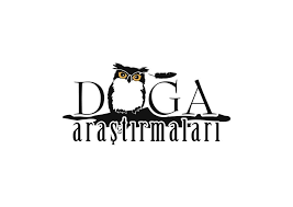 Proje Asistanı